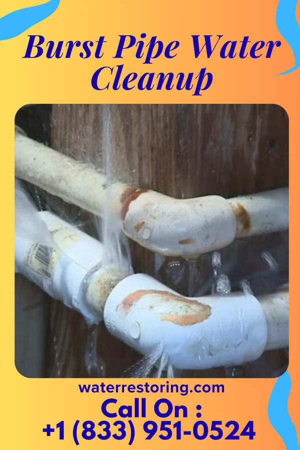 Burst Pipe Water Cleanup in Gideon, MO